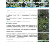 Tablet Screenshot of images-flore-douarnenez.net
